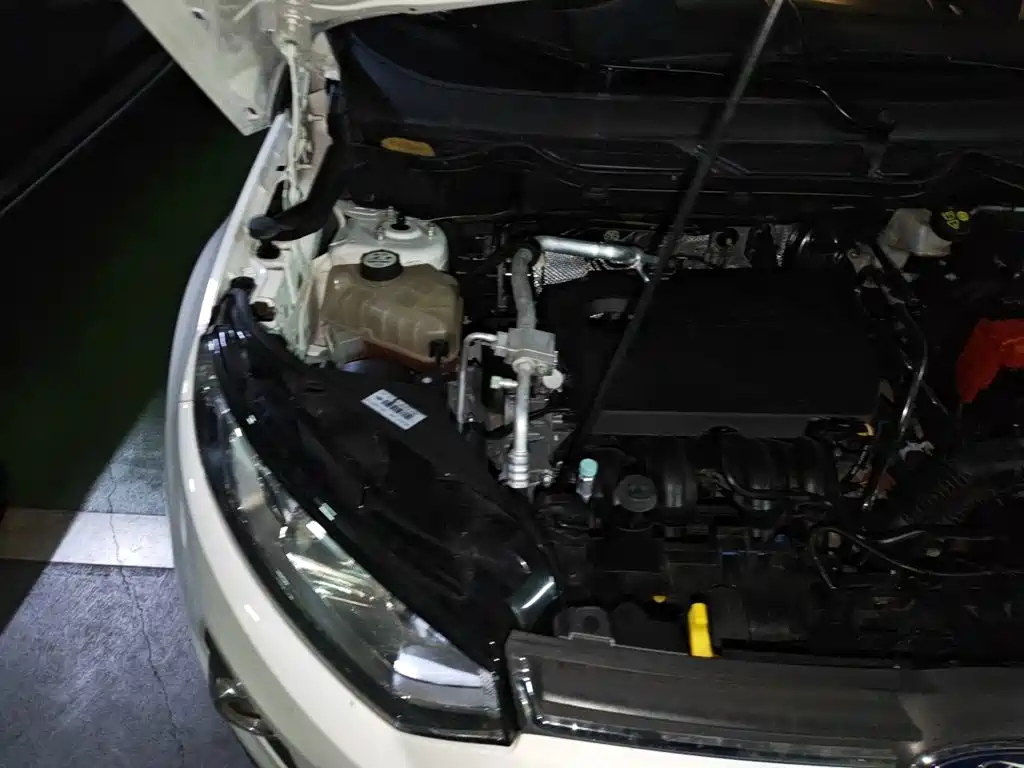 Ford Ecosport — миниатюра 19