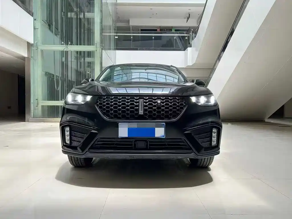 WEI PAI WEI BRAND VV5