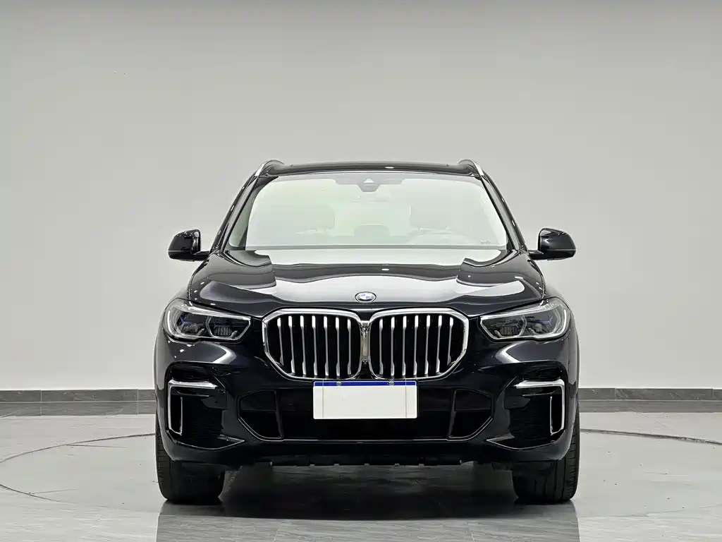 BMW X5 — миниатюра 3