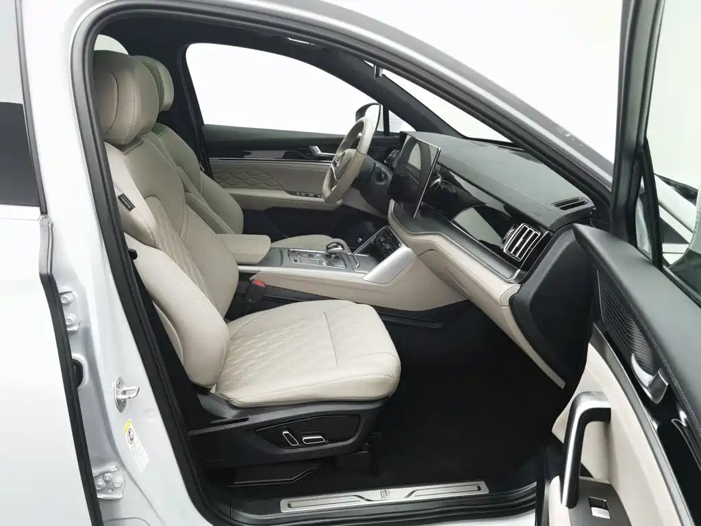 BYD Tang New Energy — миниатюра 23