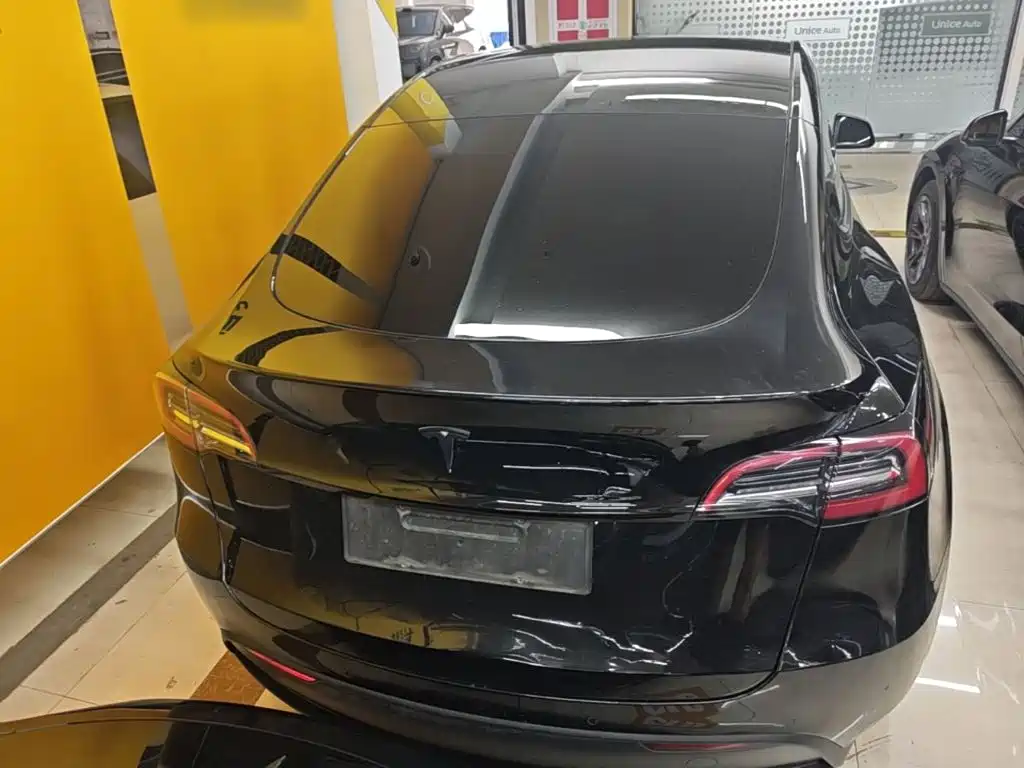 Tesla Model Y — миниатюра 6