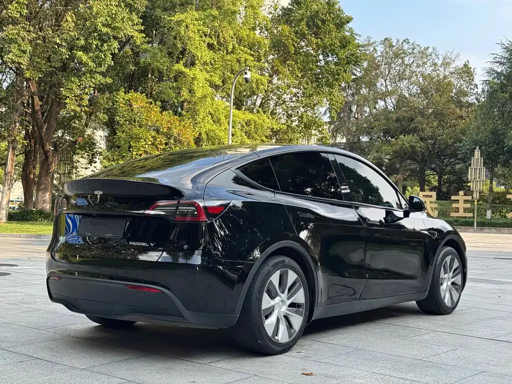 Tesla Model Y — фотографии объявления, Фото 6