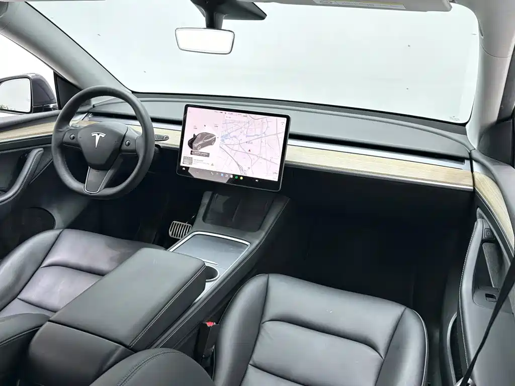 Tesla Model Y — миниатюра 11