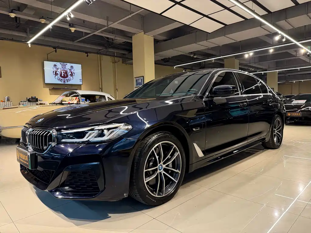 BMW 5 Series New Energy 2023