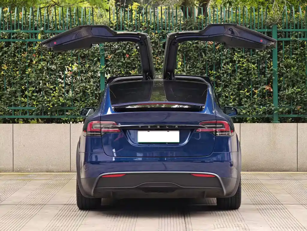 Tesla Model X — миниатюра 15