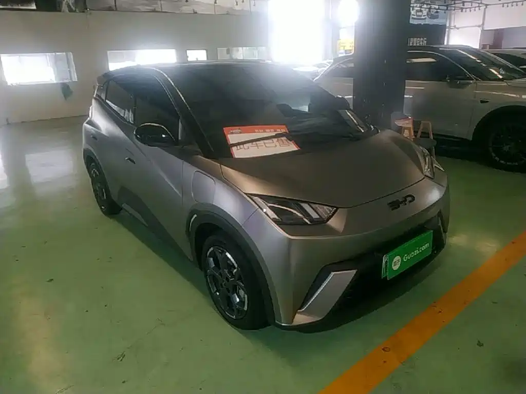BYD Seagull 2025 305km Freedom
