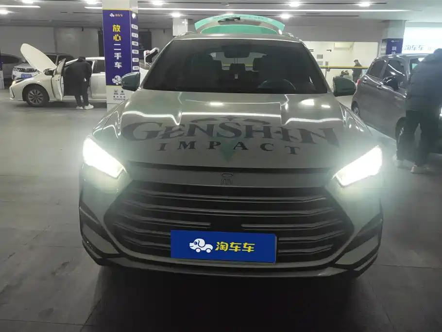 BYD SONGJIANG NEW ENERGY