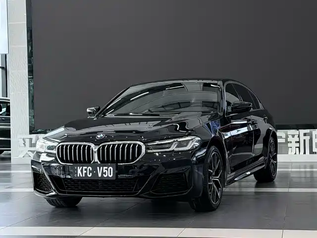 BMW 5 SERIES