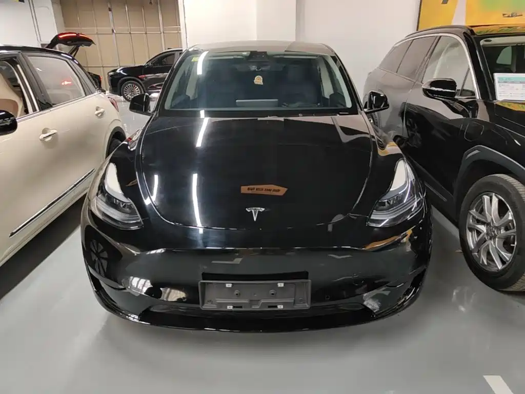 Tesla Model Y — миниатюра 3