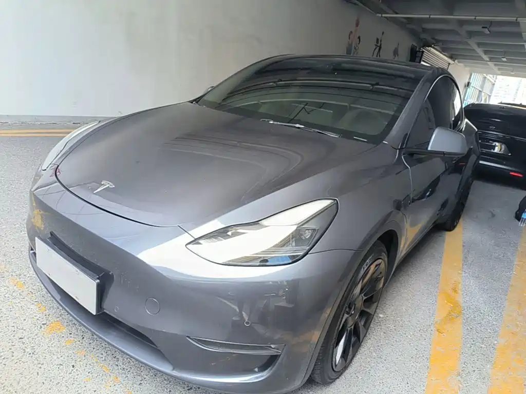 Tesla Model Y — миниатюра 2