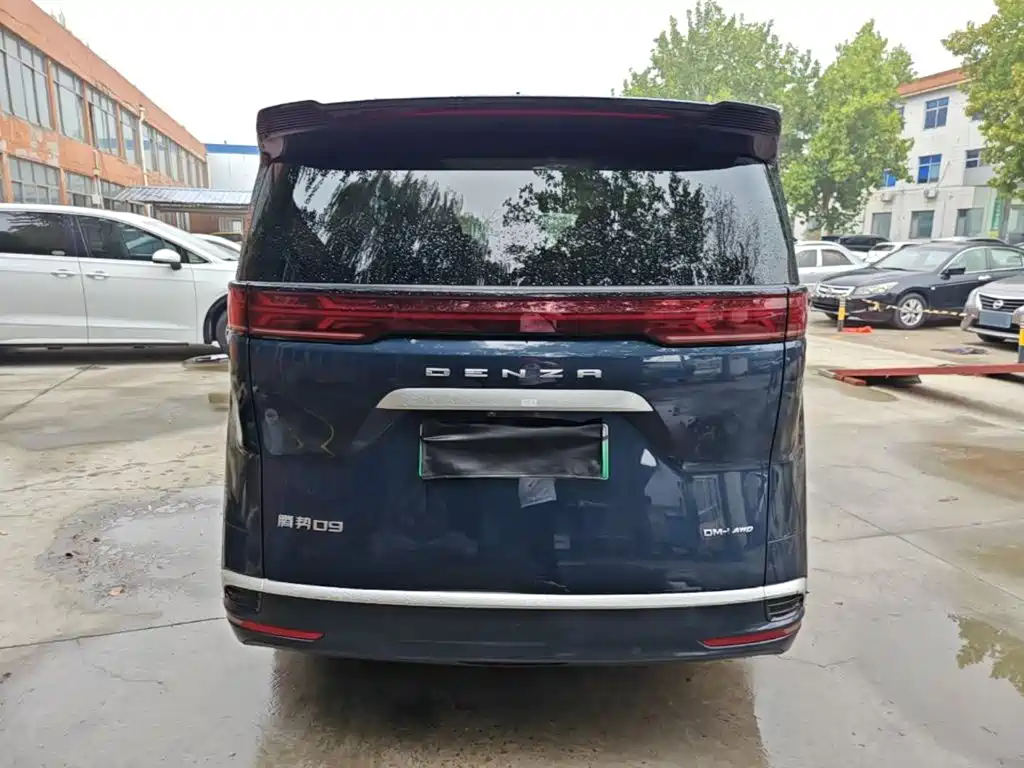 Denza Denza D9 — миниатюра 6