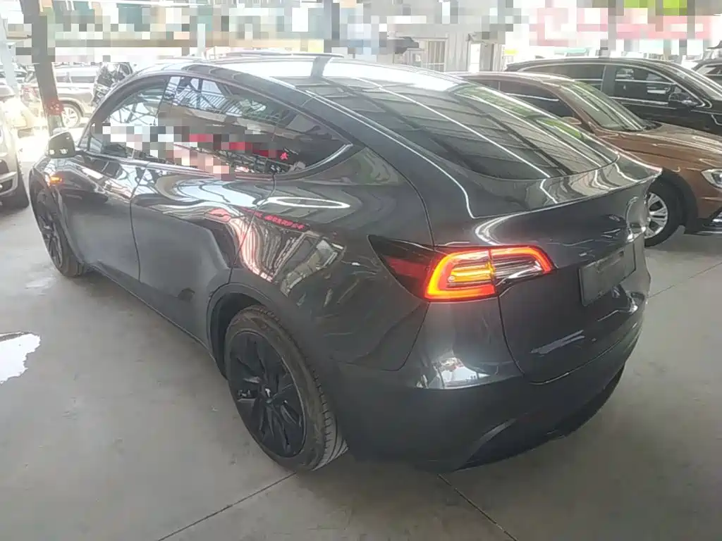 Tesla Model Y — миниатюра 5