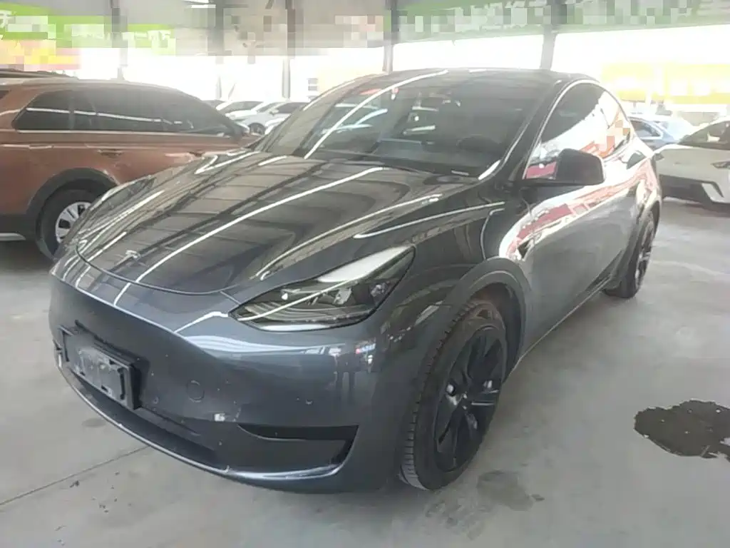 Tesla Model Y — миниатюра 2