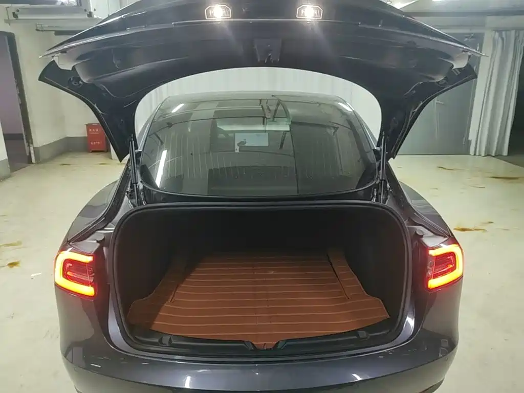 Tesla Model 3 — миниатюра 19