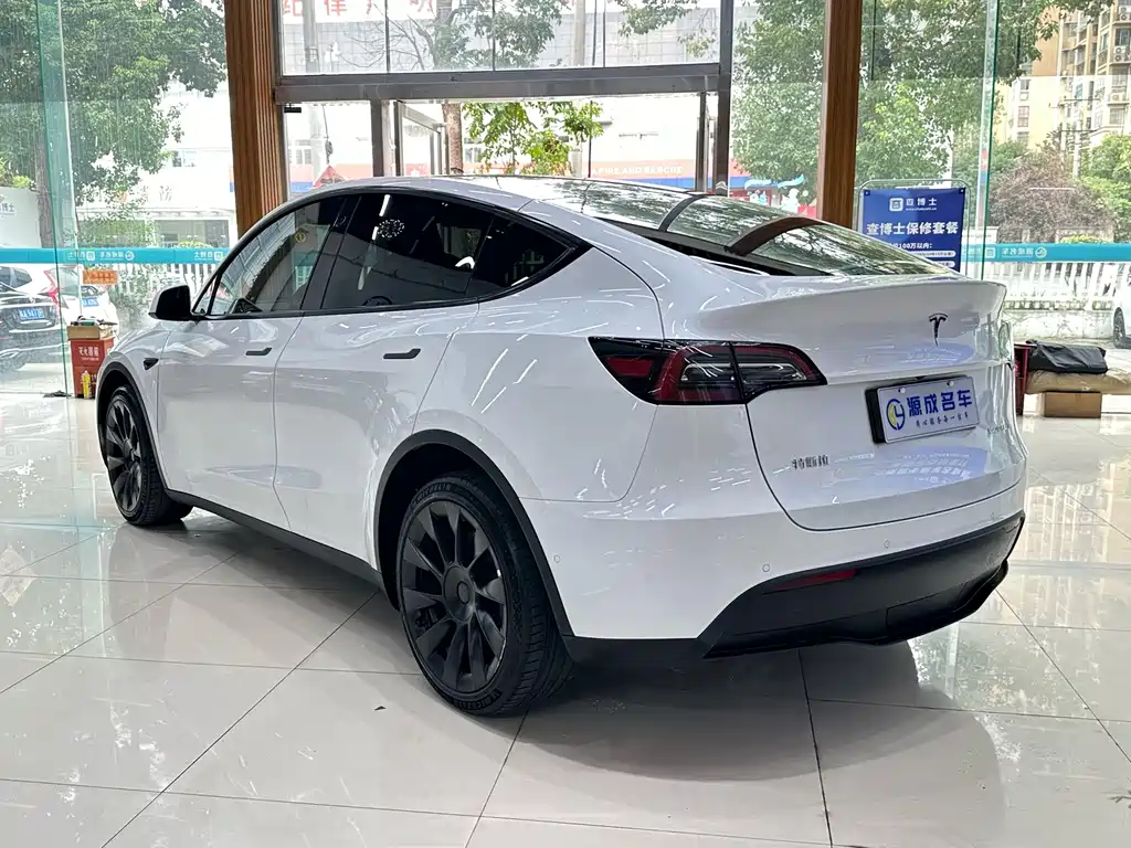 Tesla Model Y — миниатюра 8