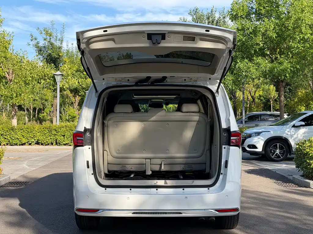 Buick GL8 — миниатюра 22