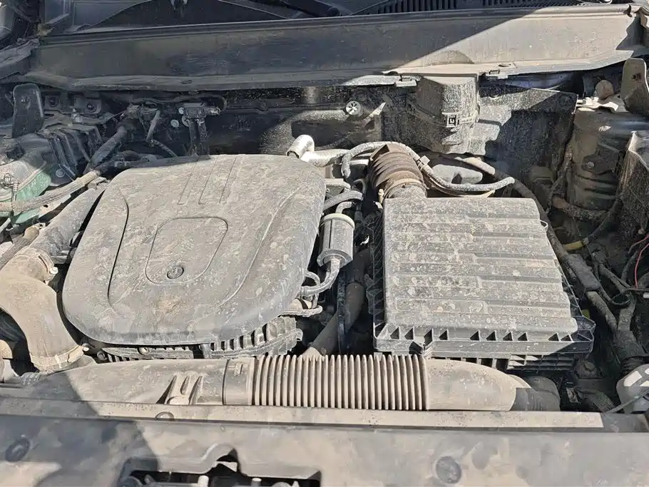 HAVAL RAPTORS NEW ENERGY