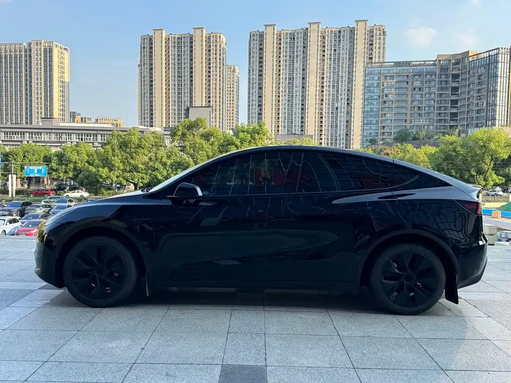 Tesla Model Y — миниатюра 4