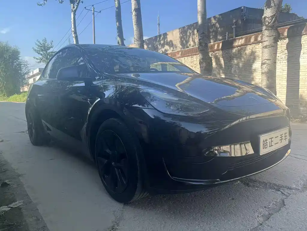 Tesla Model Y — миниатюра 2