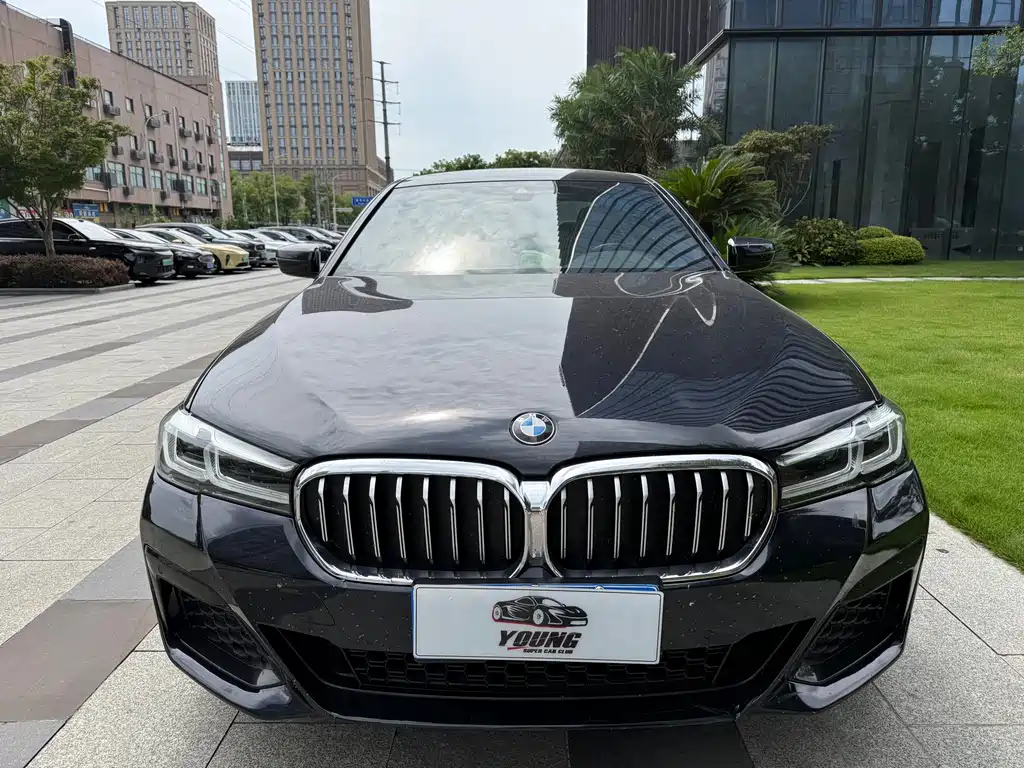 BMW 5 Series — миниатюра 3