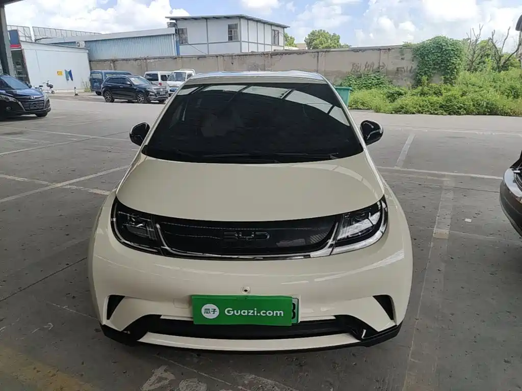BYD Dolphin — миниатюра 3