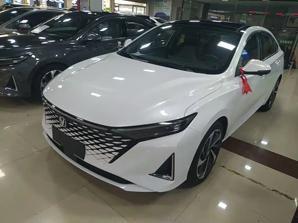 Changan Ruicheng PLUS — миниатюра 2