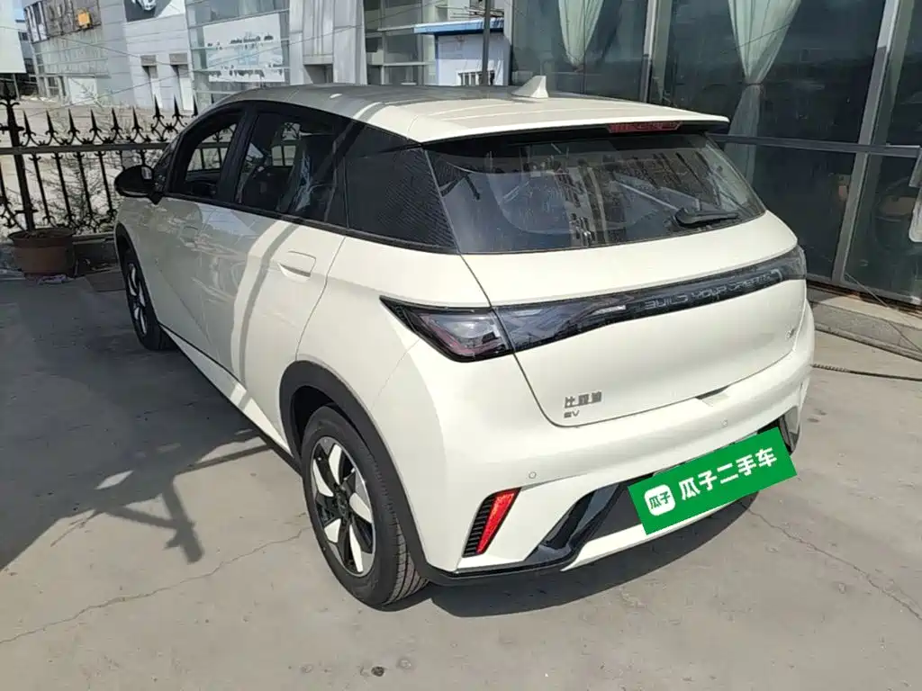 BYD Dolphin — миниатюра 5