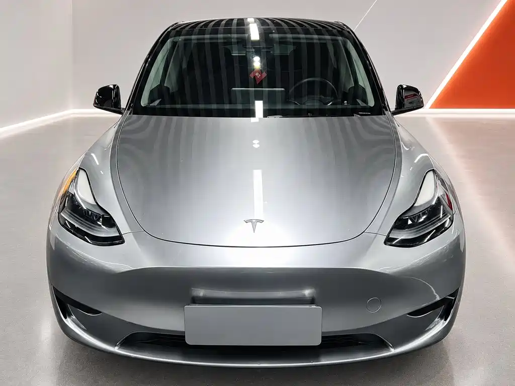 Tesla Model Y — миниатюра 2