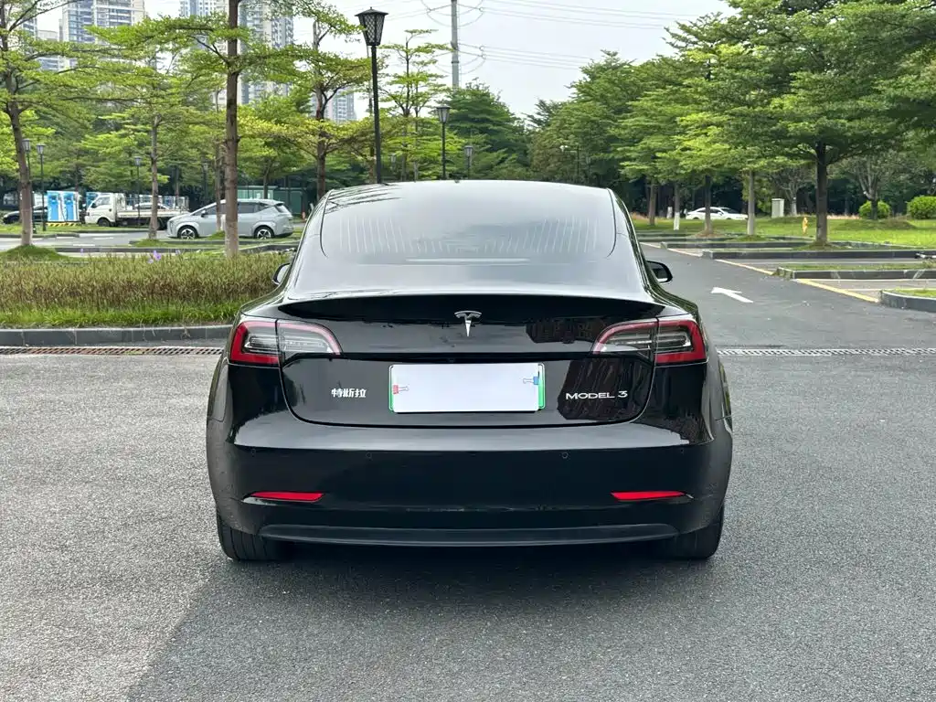 Tesla Model 3 — миниатюра 18