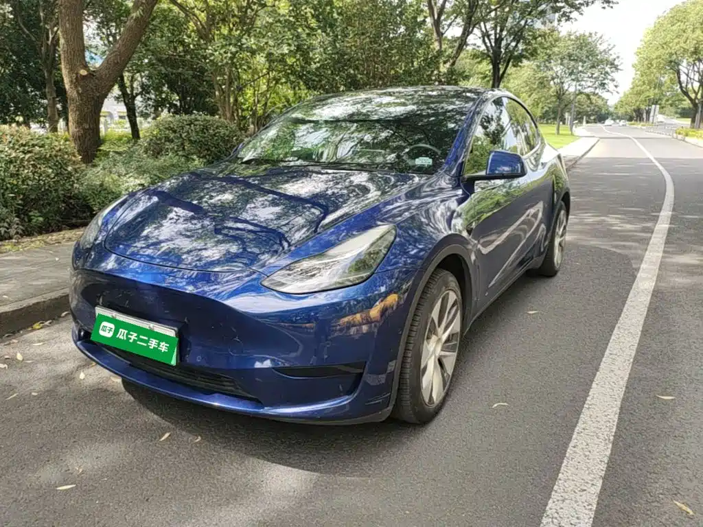 Tesla Model Y — миниатюра 2