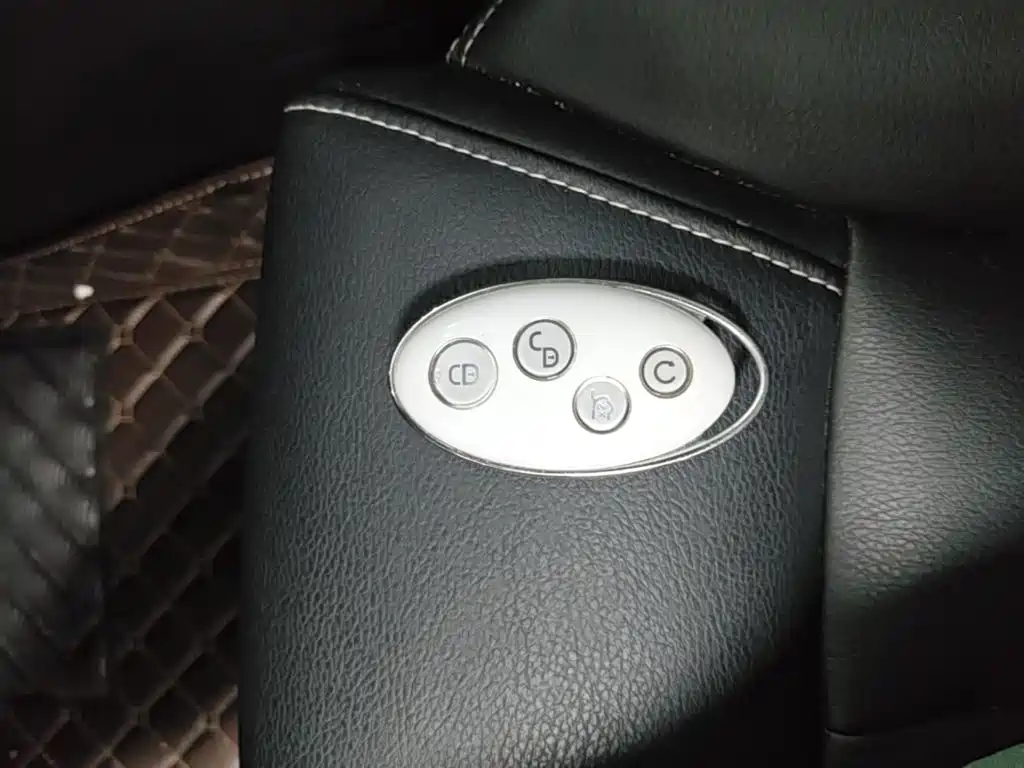 BYD MAX — миниатюра 9