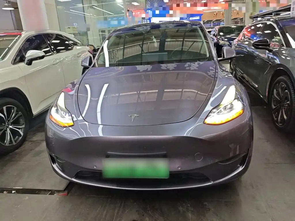 Tesla Model Y — миниатюра 3