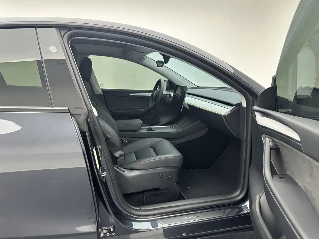 Tesla Model Y — миниатюра 15