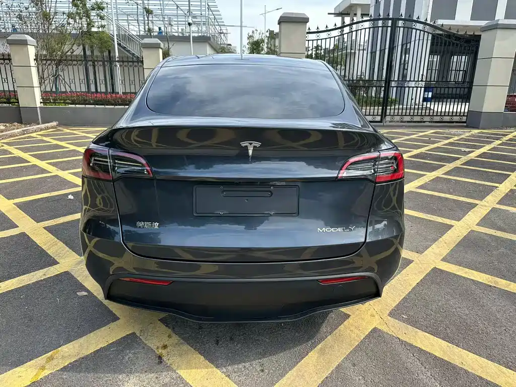 Tesla Model Y — миниатюра 4