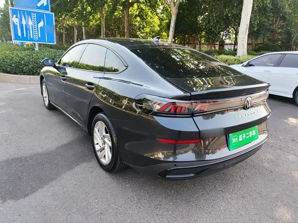 Volkswagen Lamando — миниатюра 5