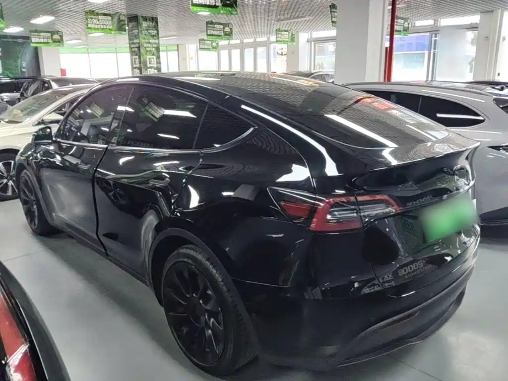 Tesla Model Y — миниатюра 5