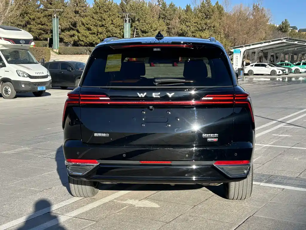 WEI PAI WEI BRAND BLUE MOUNTAIN