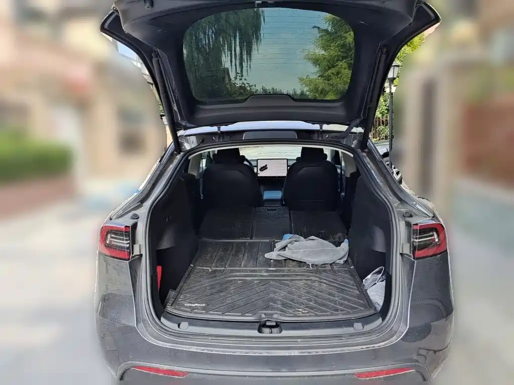 Tesla Model Y — миниатюра 10