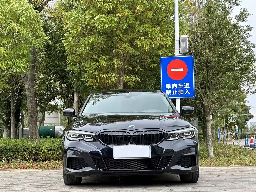 BMW 3 Series — миниатюра 2