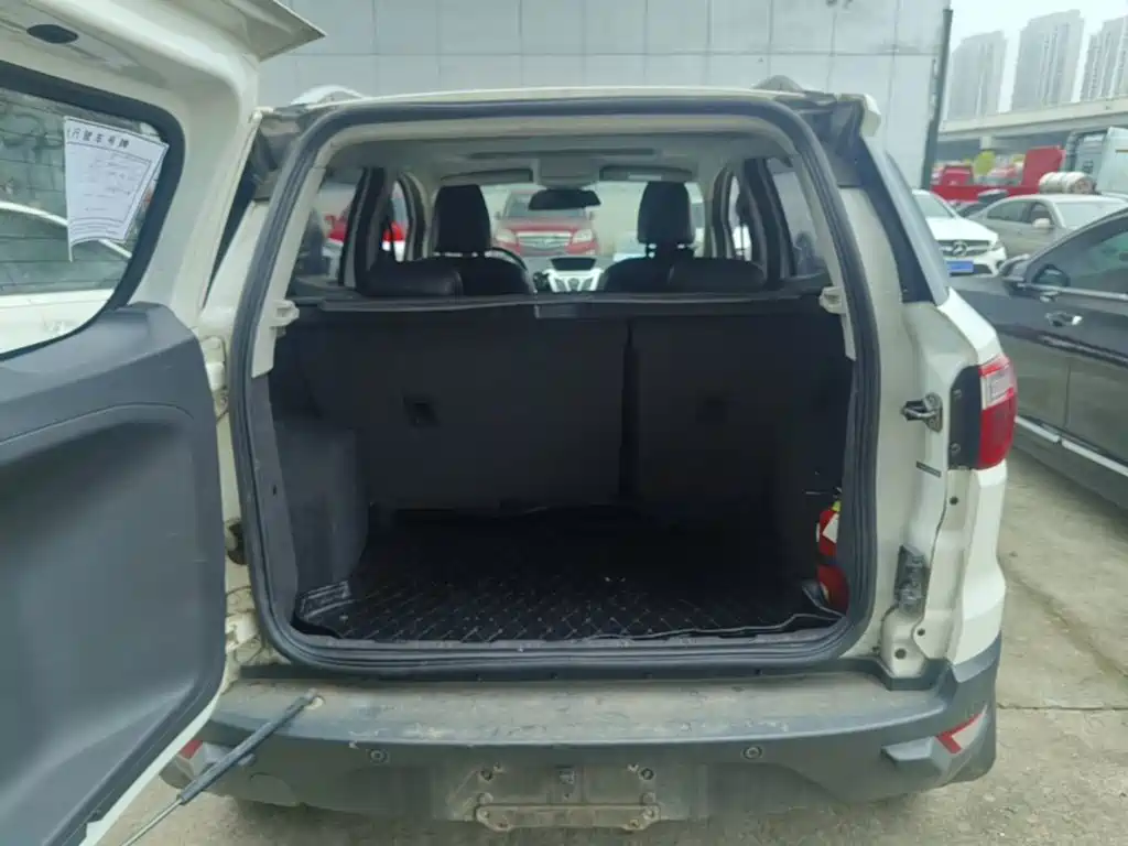 Ford Ecosport — миниатюра 19
