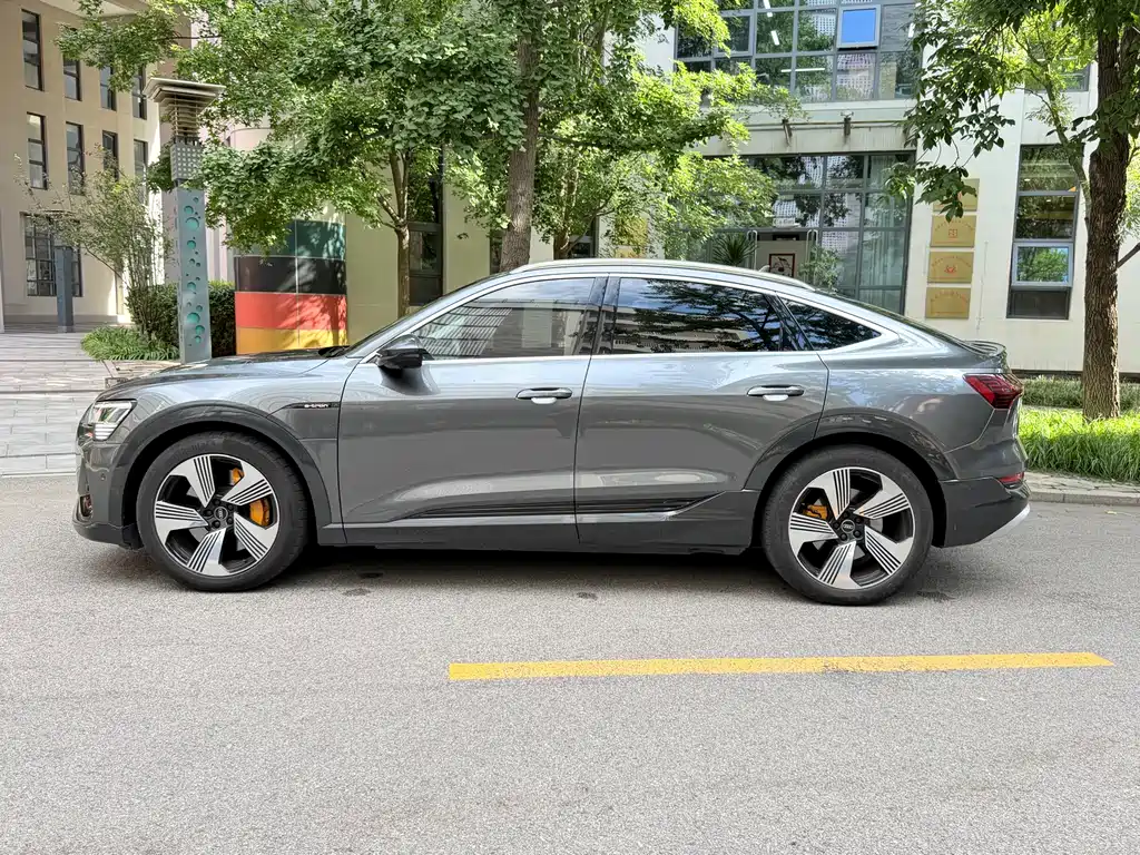 Audi e-tron (Import) — миниатюра 3