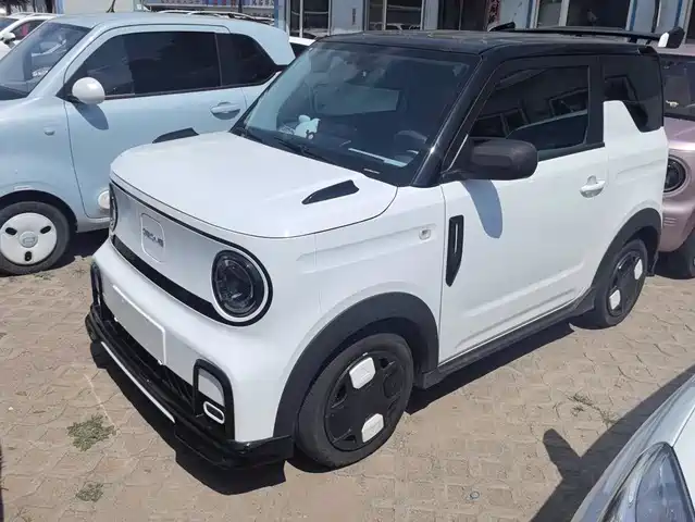2024 Geely LC (Panda)