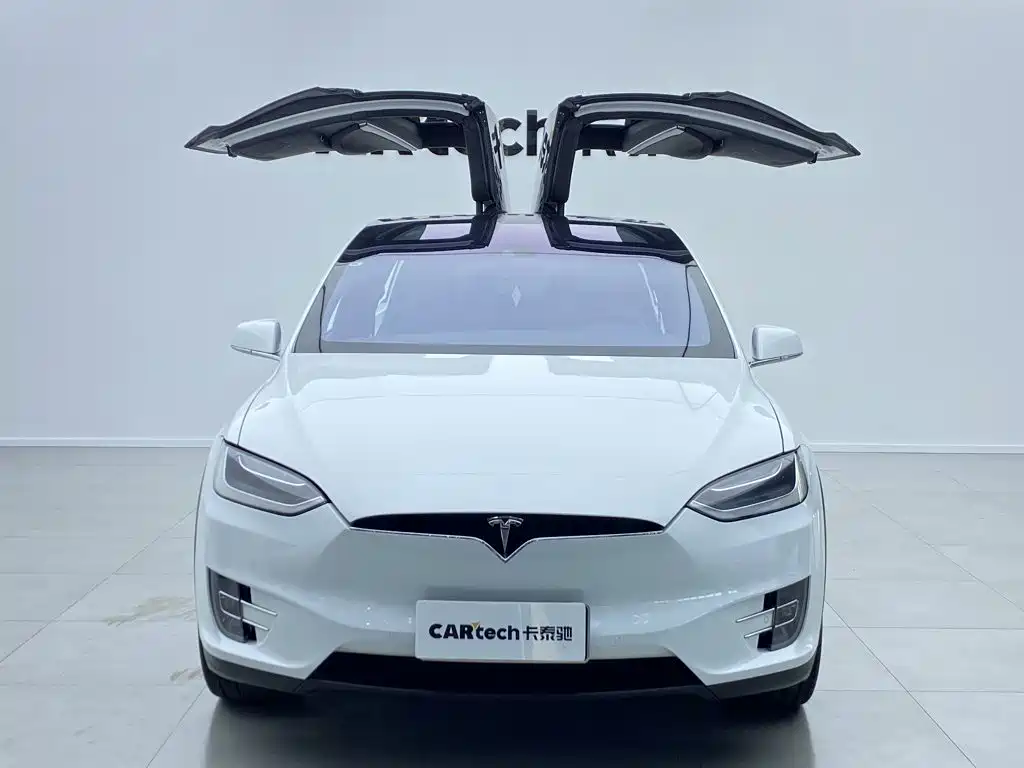 Tesla Model X — миниатюра 10