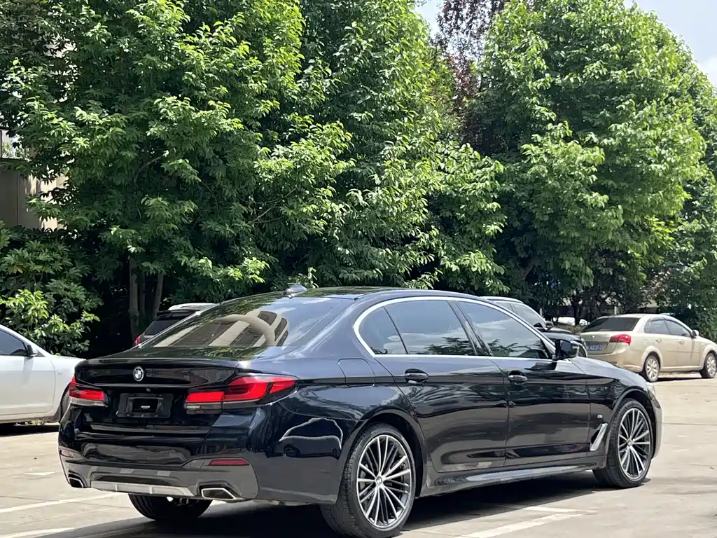 BMW 5 Series 5 2021 530Li Lead M Sport