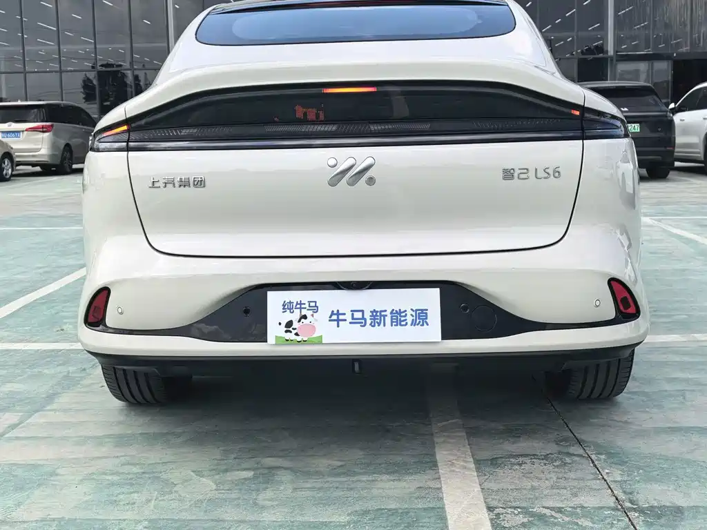 IM IM LS6 — миниатюра 5