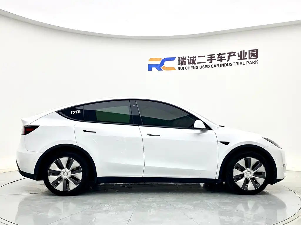 Tesla Model Y — миниатюра 4