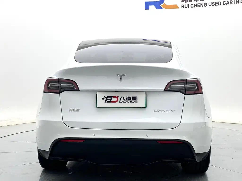 Tesla Model Y — миниатюра 6
