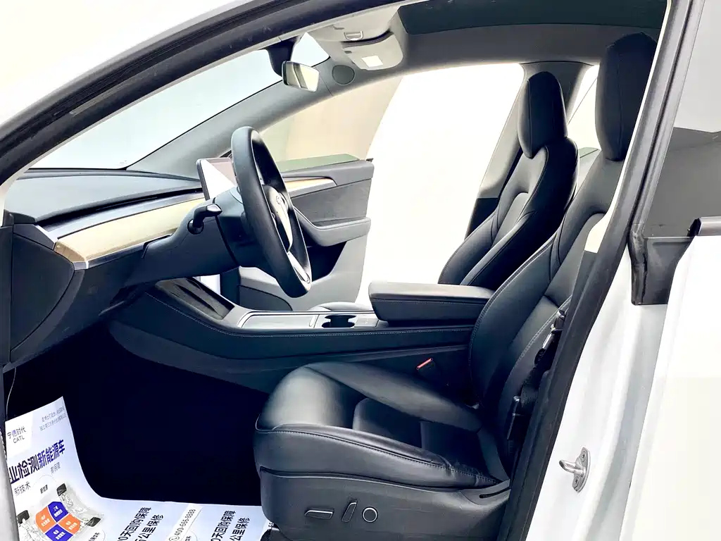 Tesla Model Y — миниатюра 9