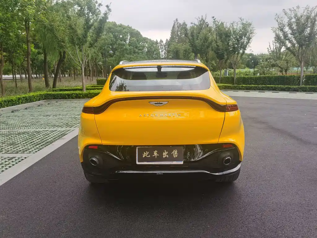 Aston Martin DBX — миниатюра 6