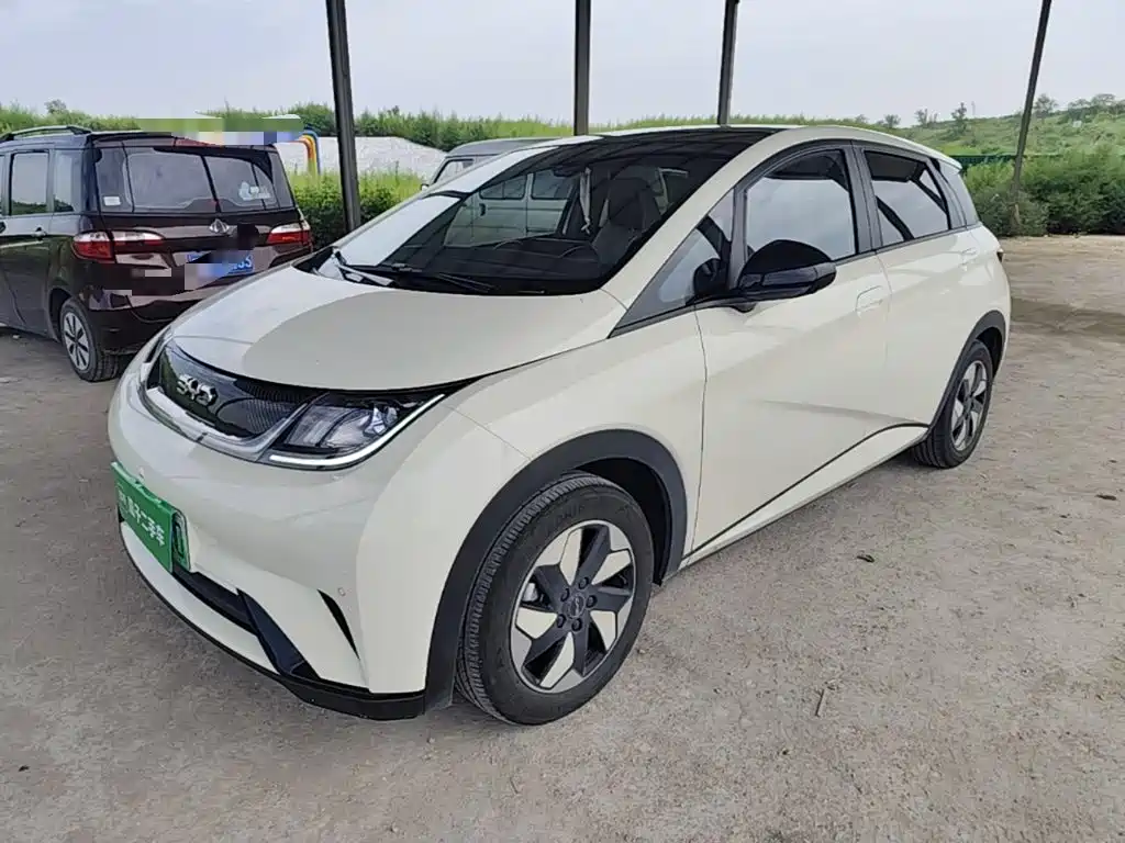 BYD Dolphin — миниатюра 2